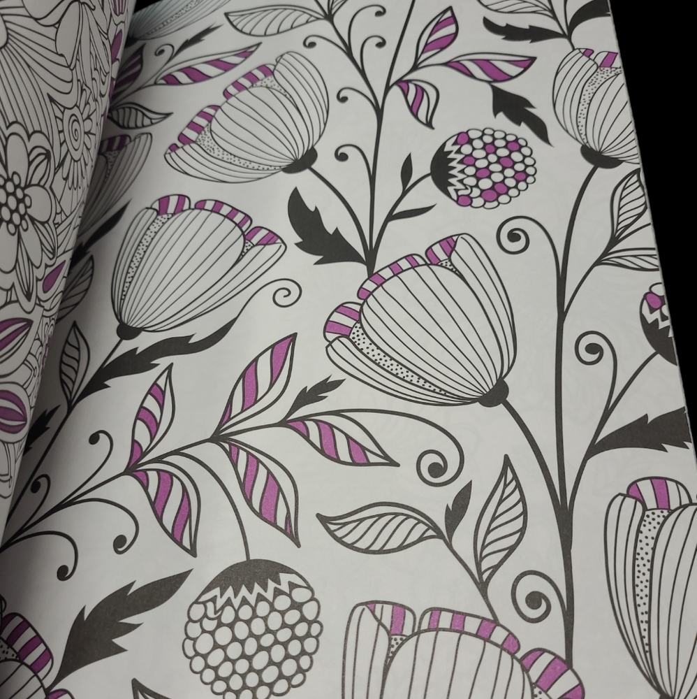 2 NEW ANY AGE COLORING BOOKS BEAUTIFUL COLORING 2016 & FLOWERS 2015 - Picture 9 of 10